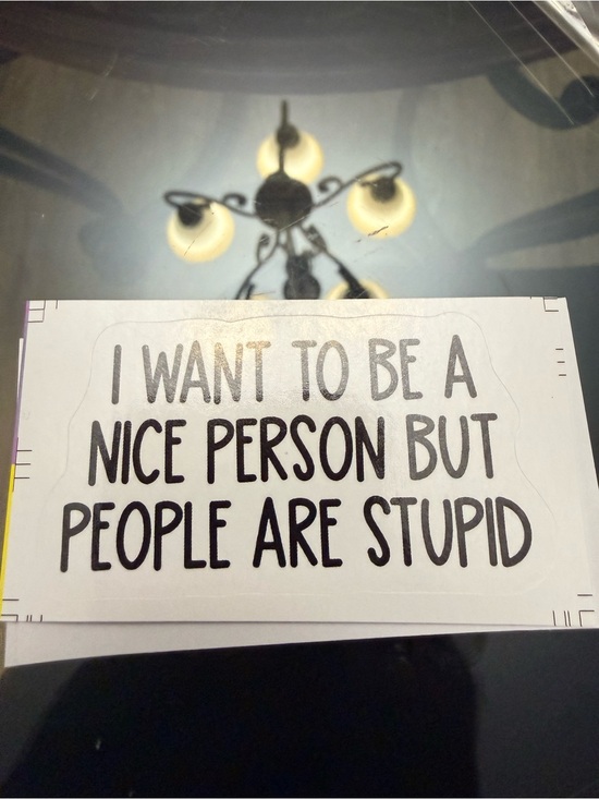 Other - Humorous Text Sticker — Black & White "I Want To Be A Nice Person"